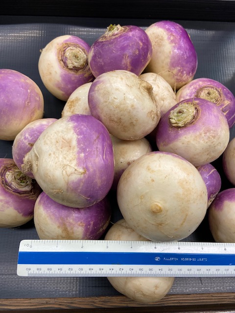 image of turnips
