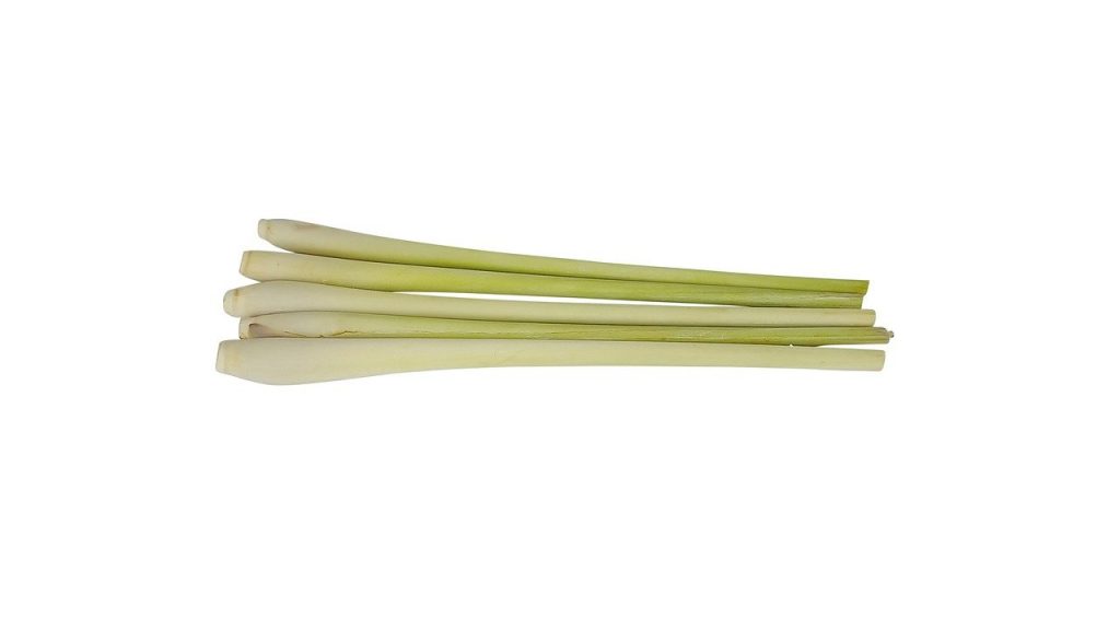 lemon grass with white background